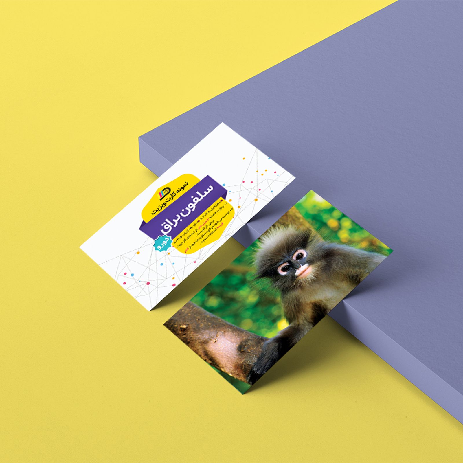 کارتی با اطلاعات کسب و کار فرد یا شرکت است که جهت معرفی رسمی شرکت یا فرد مورد استفاده قرار می‌گیرد. چاپ انواع کارت ویزیت سلفون، لمینیت در این مجتمع انجام می گردد.